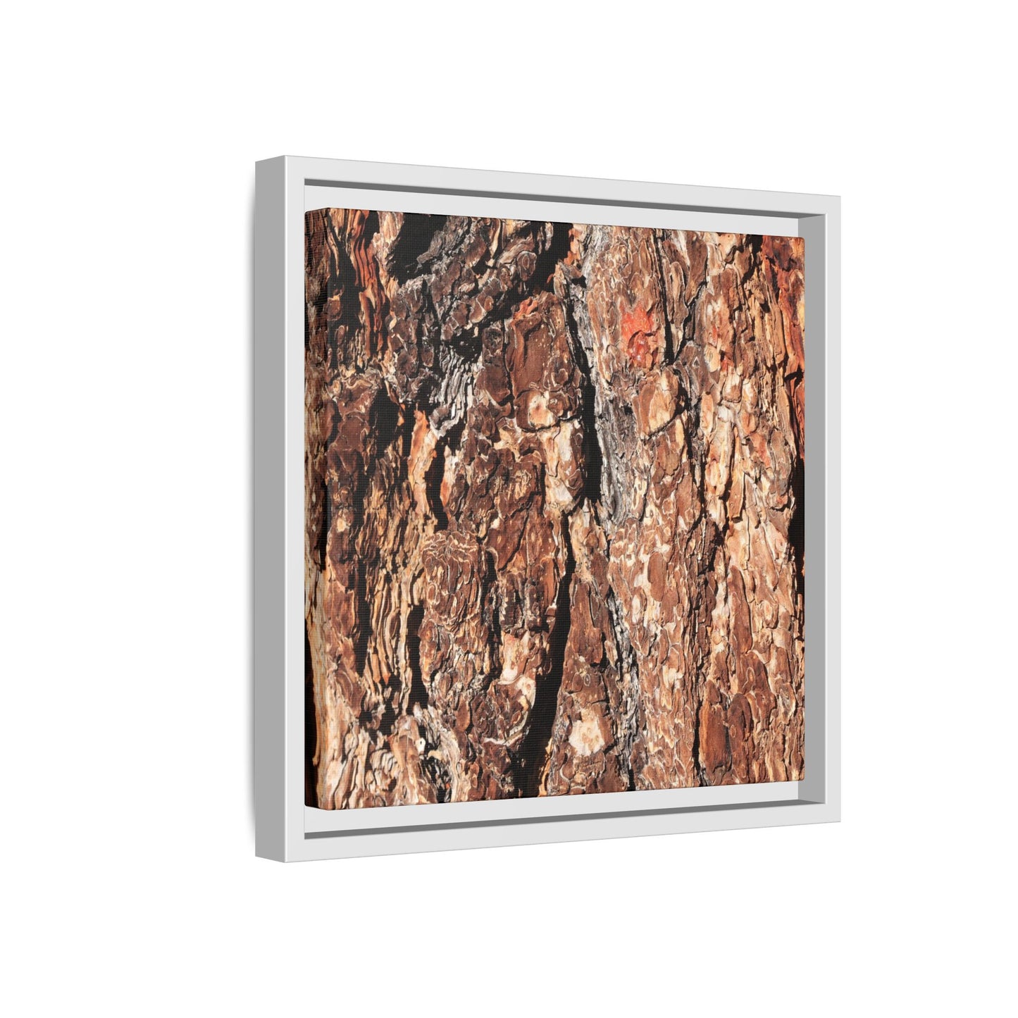Nature's Rugged Canvas - Unique Stretched Canvas Wall Art