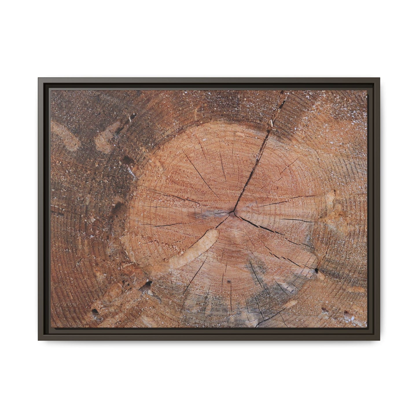 Concentric Memories - Unique Stretched Canvas Wall Art - Art By Earth