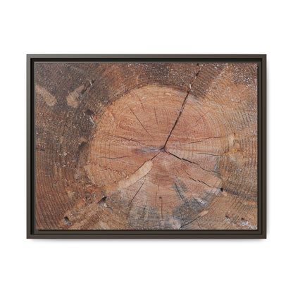 Concentric Memories - Unique Stretched Canvas Wall Art - Art By Earth