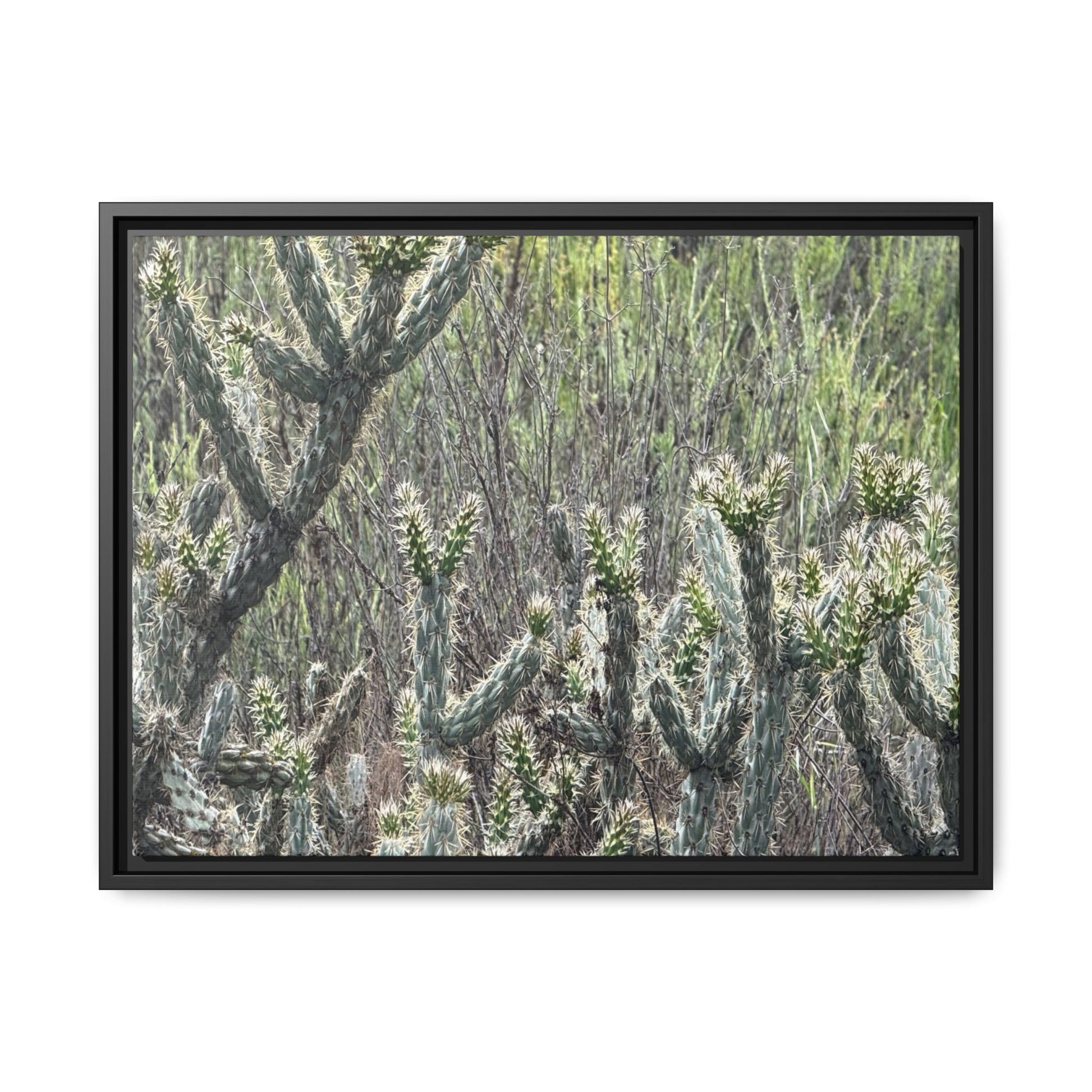 Prickly Paradise - Unique Stretched Canvas Wall Art - Art By Earth