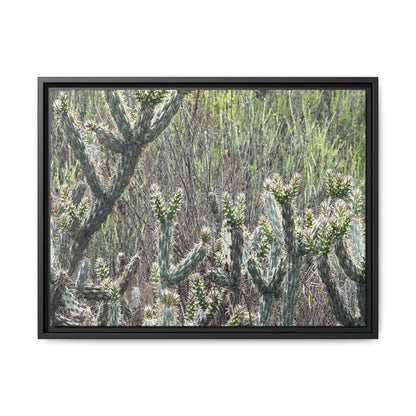 Prickly Paradise - Unique Stretched Canvas Wall Art - Art By Earth