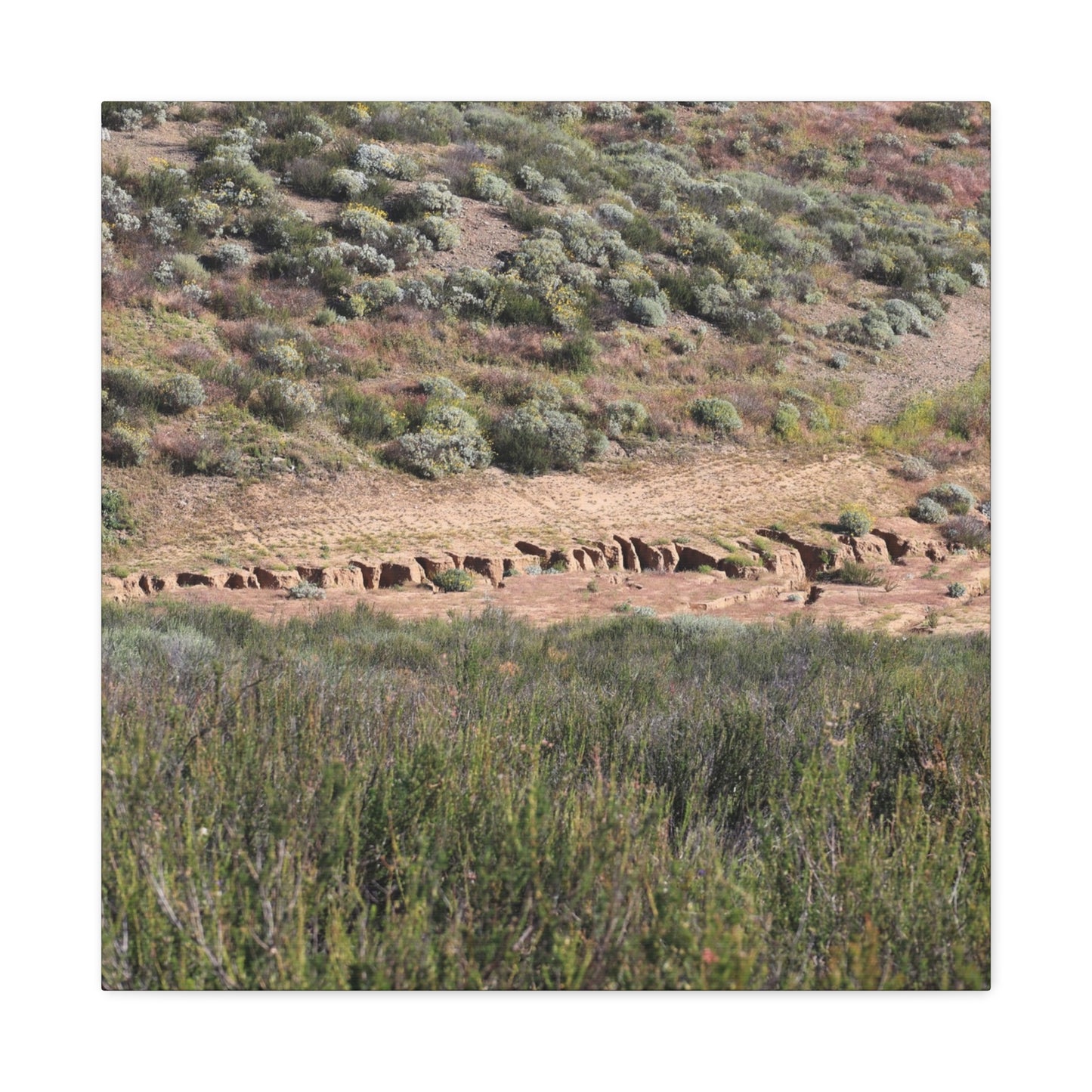 Ancient Dwellings in the Desert Valley - Unique Frameless Canvas Wall Art - Art By Earth