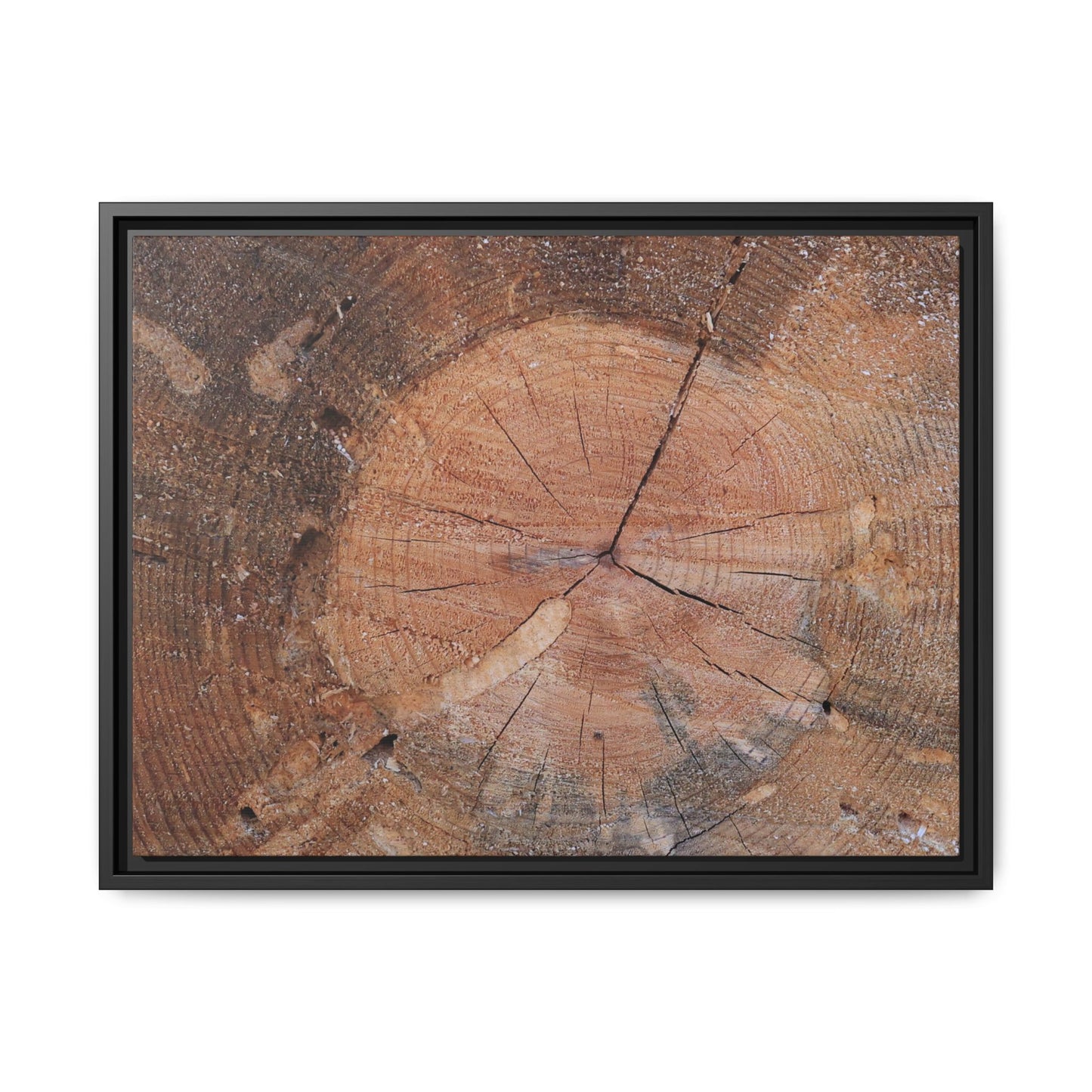 Concentric Memories - Unique Stretched Canvas Wall Art - Art By Earth