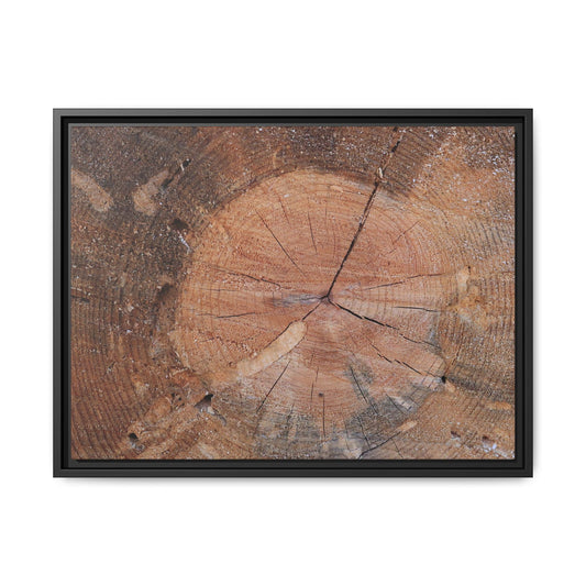 Concentric Memories - Unique Stretched Canvas Wall Art - Art By Earth