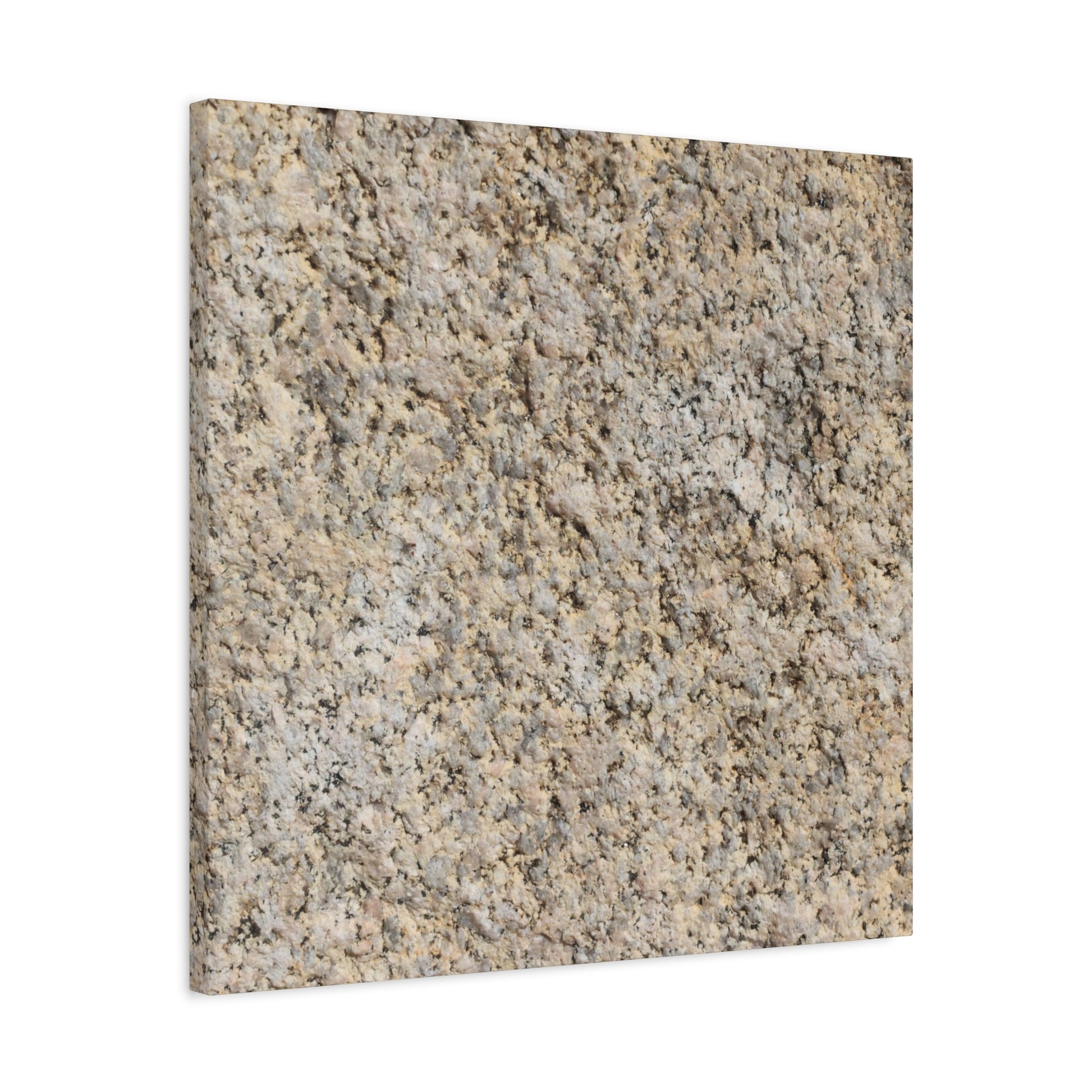 Granular Echoes - Unique Frameless Canvas Wall Art - Art By Earth