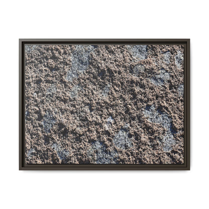 Textured Ground - Unique Stretched Canvas Wall Art