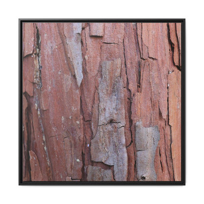 Peeling Bark - Unique Stretched Canvas Wall Art - Art By Earth