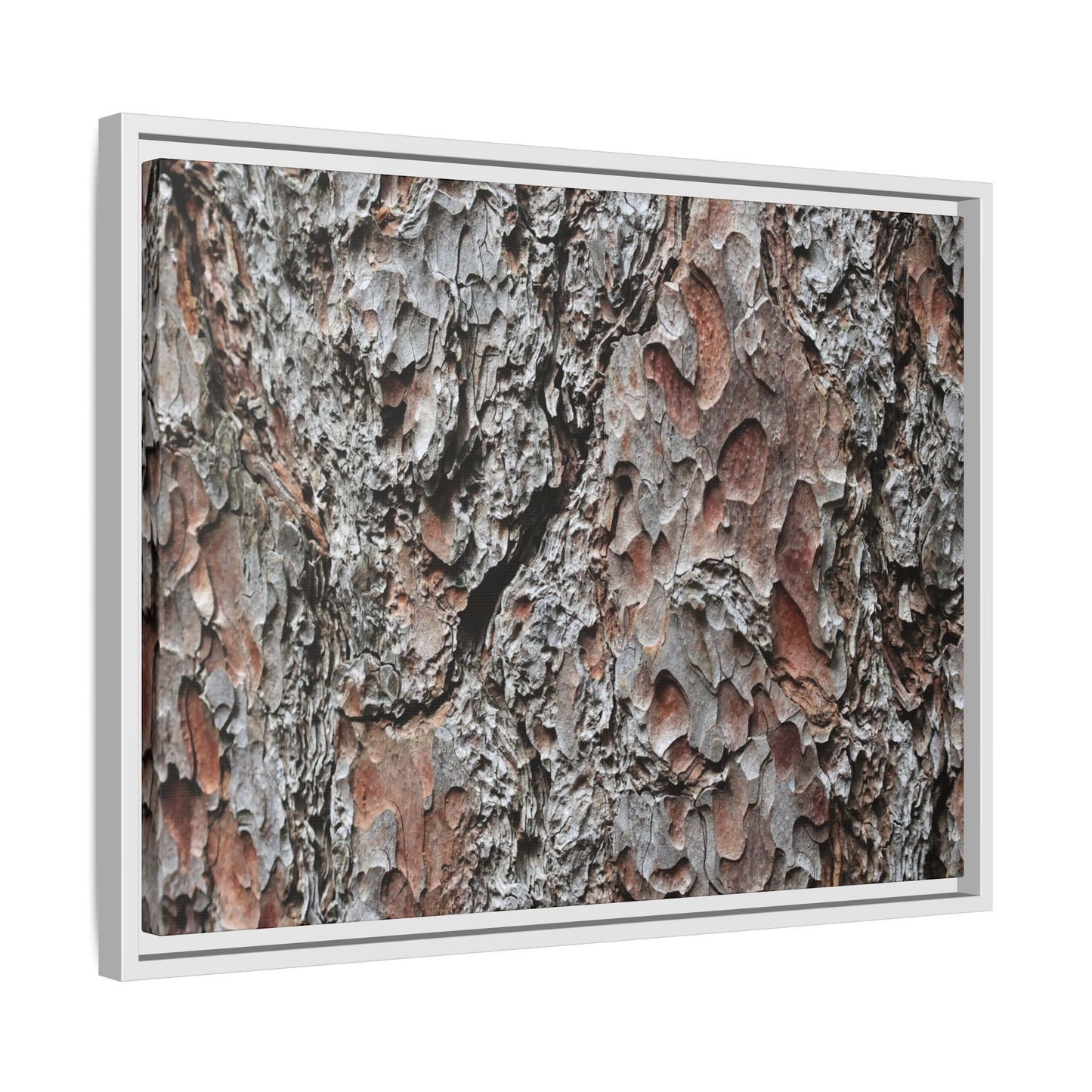 Bark Texture Symphony - Unique Stretched Canvas Wall Art - Art By Earth