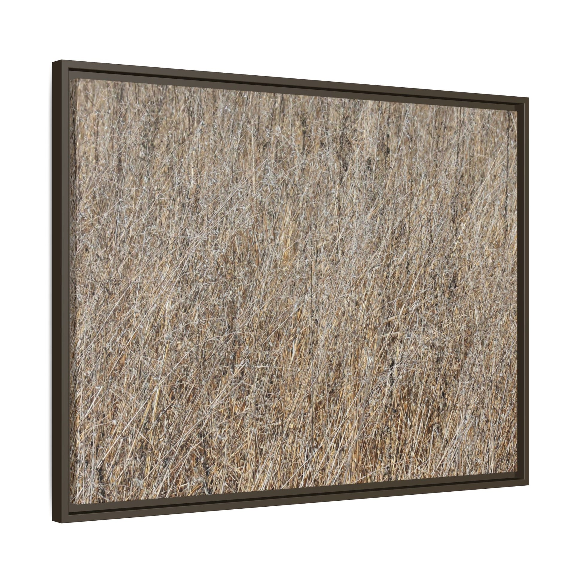 Dry Straw Symphony - Unique Stretched Canvas Wall Art - Art By Earth