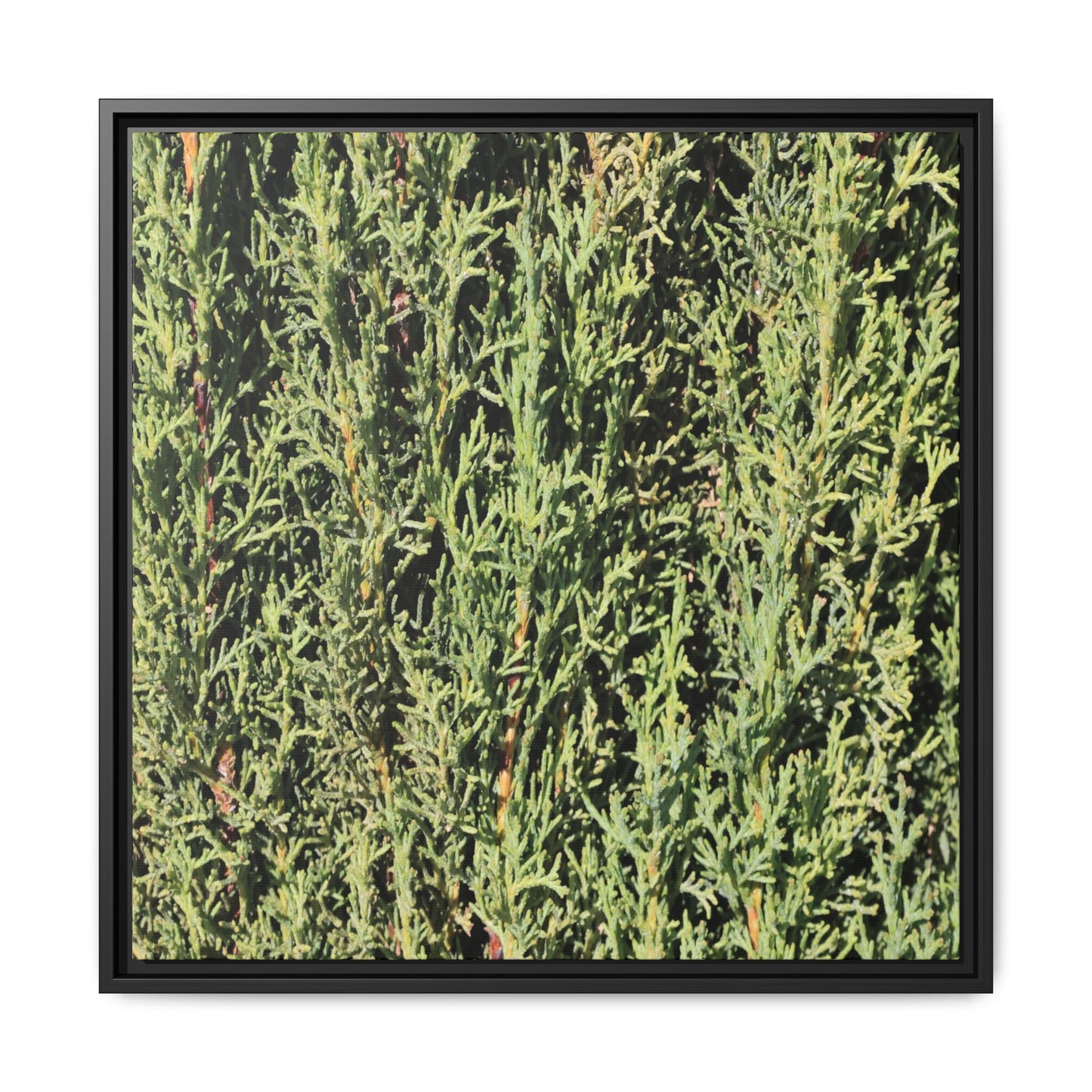 Emerald Labyrinth - Unique Stretched Canvas Wall Art - Art By Earth