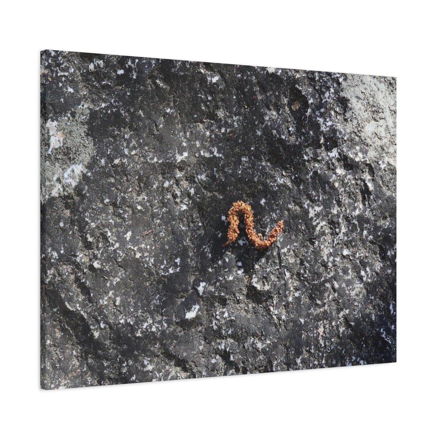 Earthen Serpent - Unique Frameless Canvas Wall Art - Art By Earth