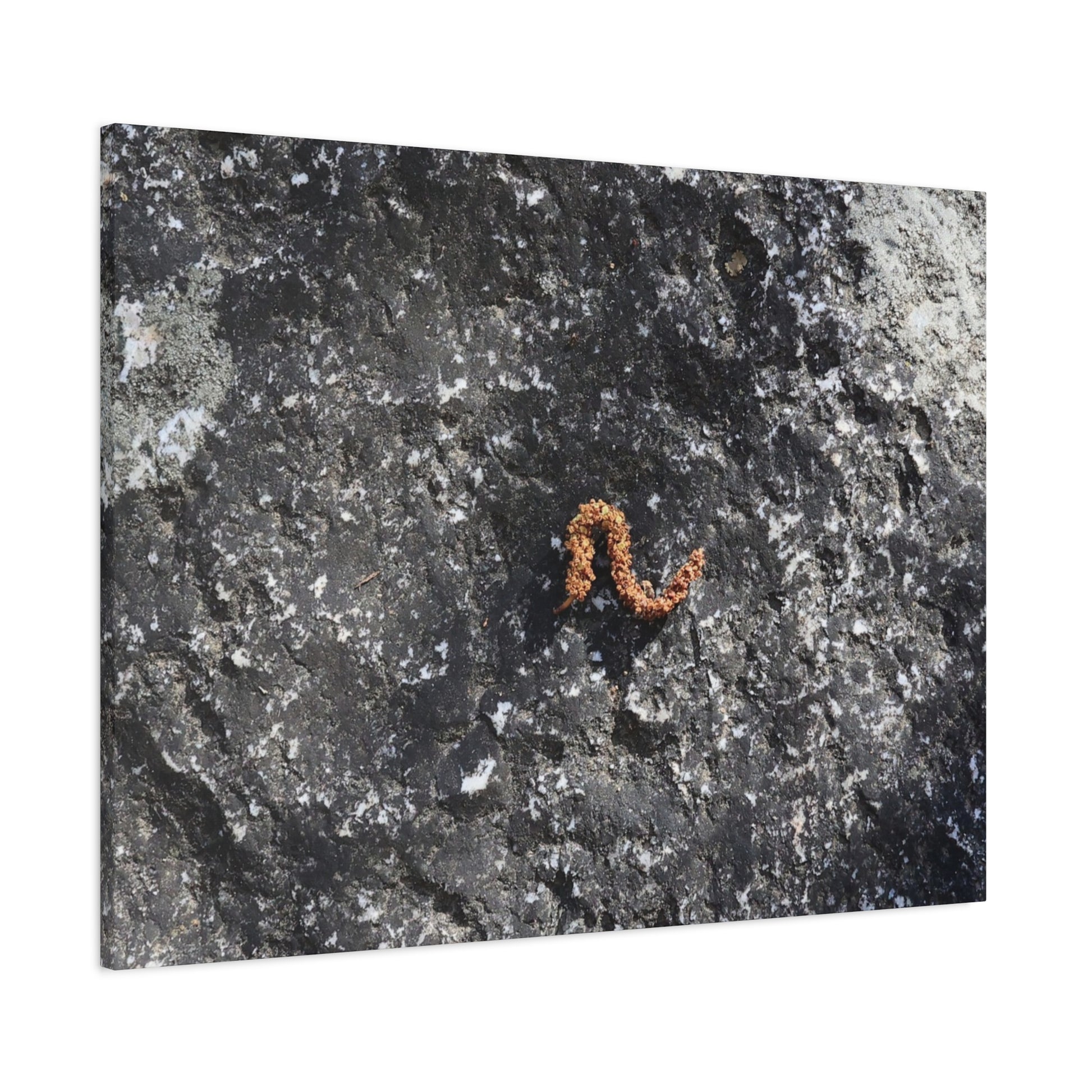 Earthen Serpent - Unique Frameless Canvas Wall Art - Art By Earth
