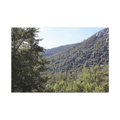 Mountain Vista Through Forest - Unique Frameless Canvas Wall Art