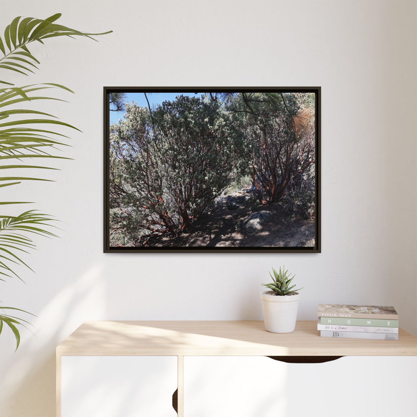 Desert Trail Through Blooming Manzanita - Unique Stretched Canvas Wall Art