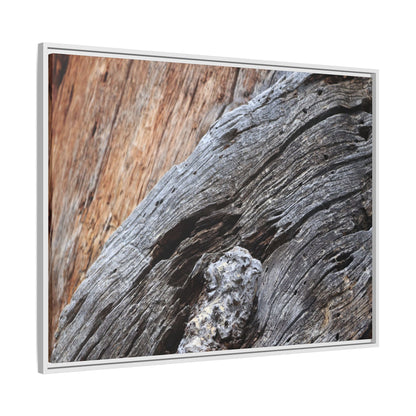 Time's Mark on Timber - Unique Stretched Canvas Wall Art - Art By Earth