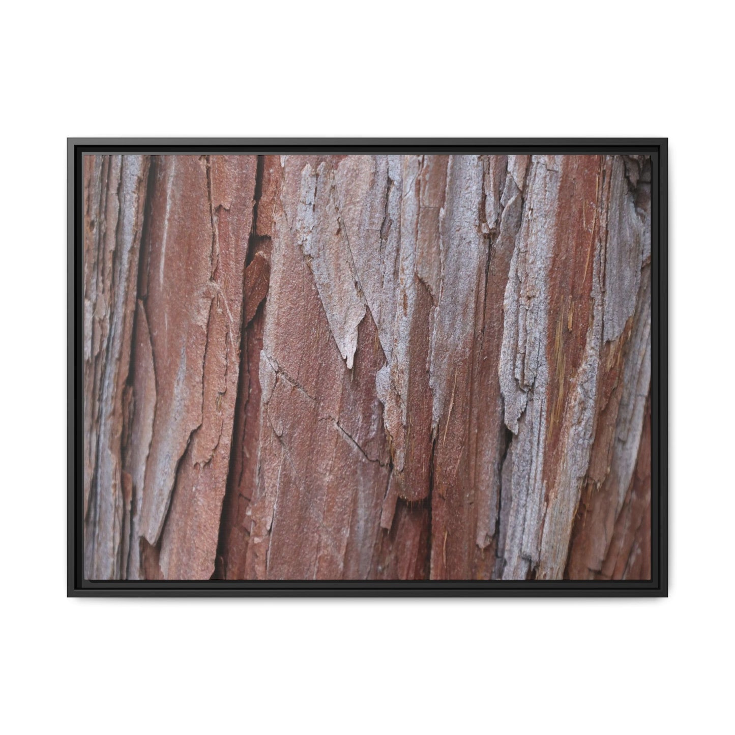 Time and Decay - Unique Stretched Canvas Wall Art - Art By Earth