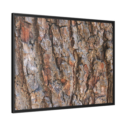 Tree's Timeworn Tale - Unique Stretched Canvas Wall Art - Art By Earth