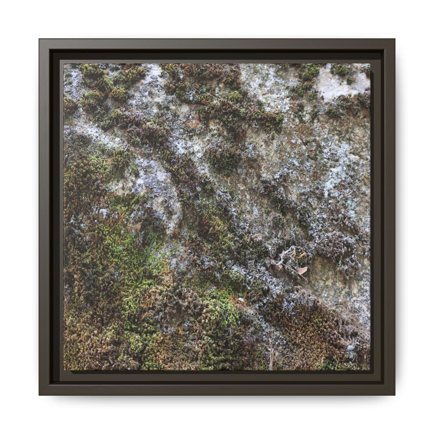 Mossy Whispers - Unique Stretched Canvas Wall Art - Art By Earth