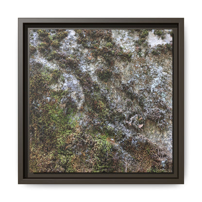 Mossy Whispers - Unique Stretched Canvas Wall Art - Art By Earth