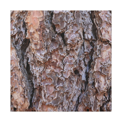 Rough Canvas - Unique Frameless Canvas Wall Art - Art By Earth