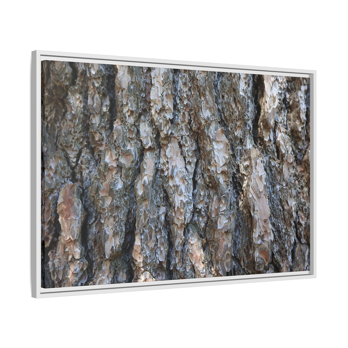 Bark Whispers - Unique Stretched Canvas Wall Art - Art By Earth