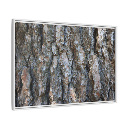 Bark Whispers - Unique Stretched Canvas Wall Art - Art By Earth