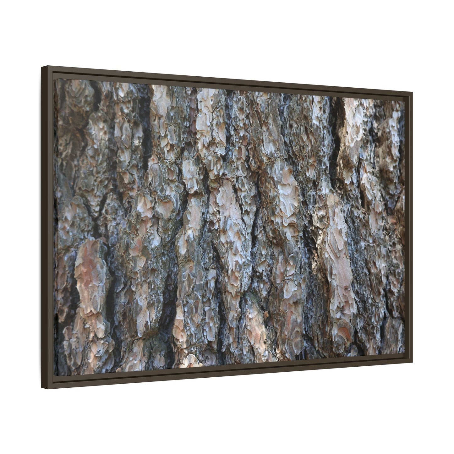 Bark Whispers - Unique Stretched Canvas Wall Art - Art By Earth