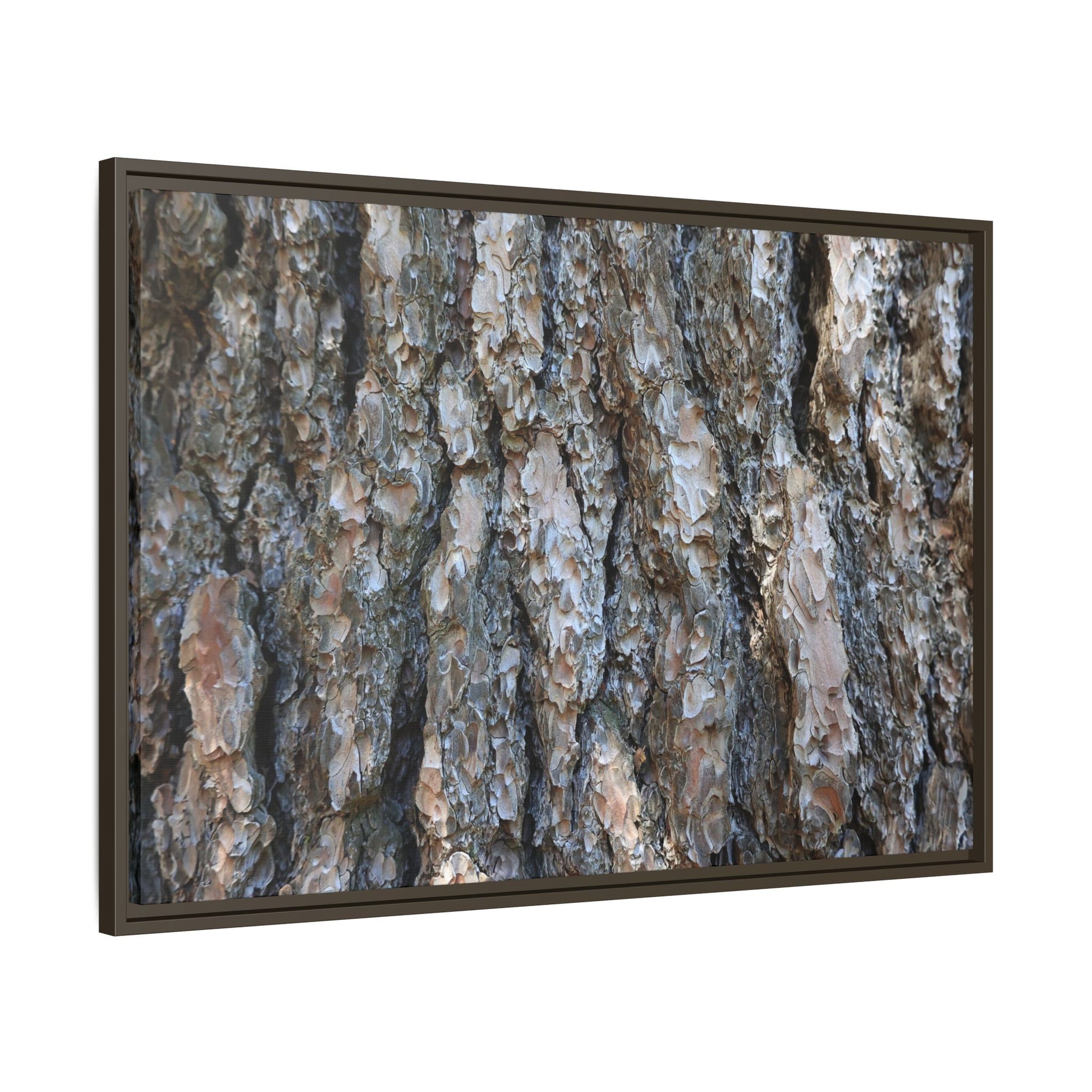 Bark Whispers - Unique Stretched Canvas Wall Art - Art By Earth