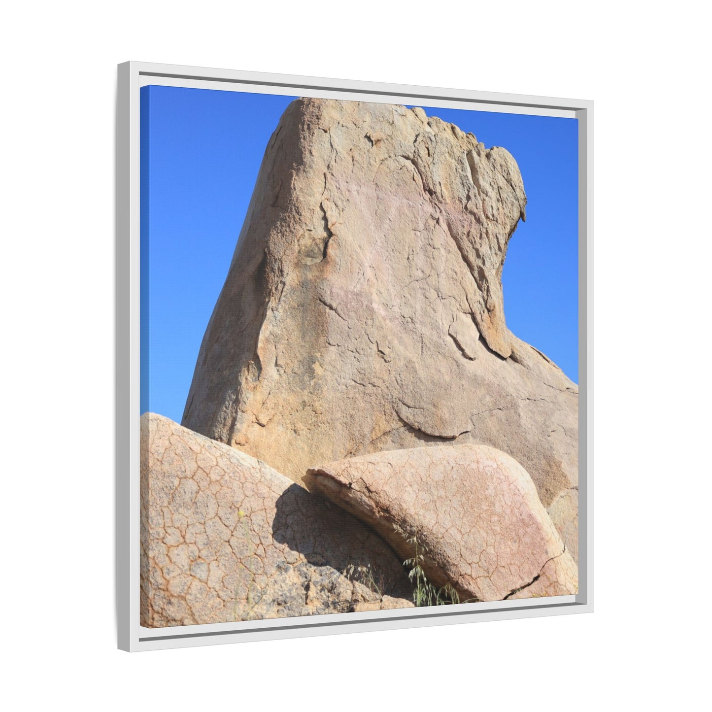 Rocky Sentinel - Unique Stretched Canvas Wall Art - Art By Earth