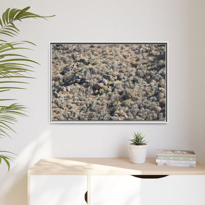 Arid Terrain Study - Unique Stretched Canvas Wall Art - Art By Earth