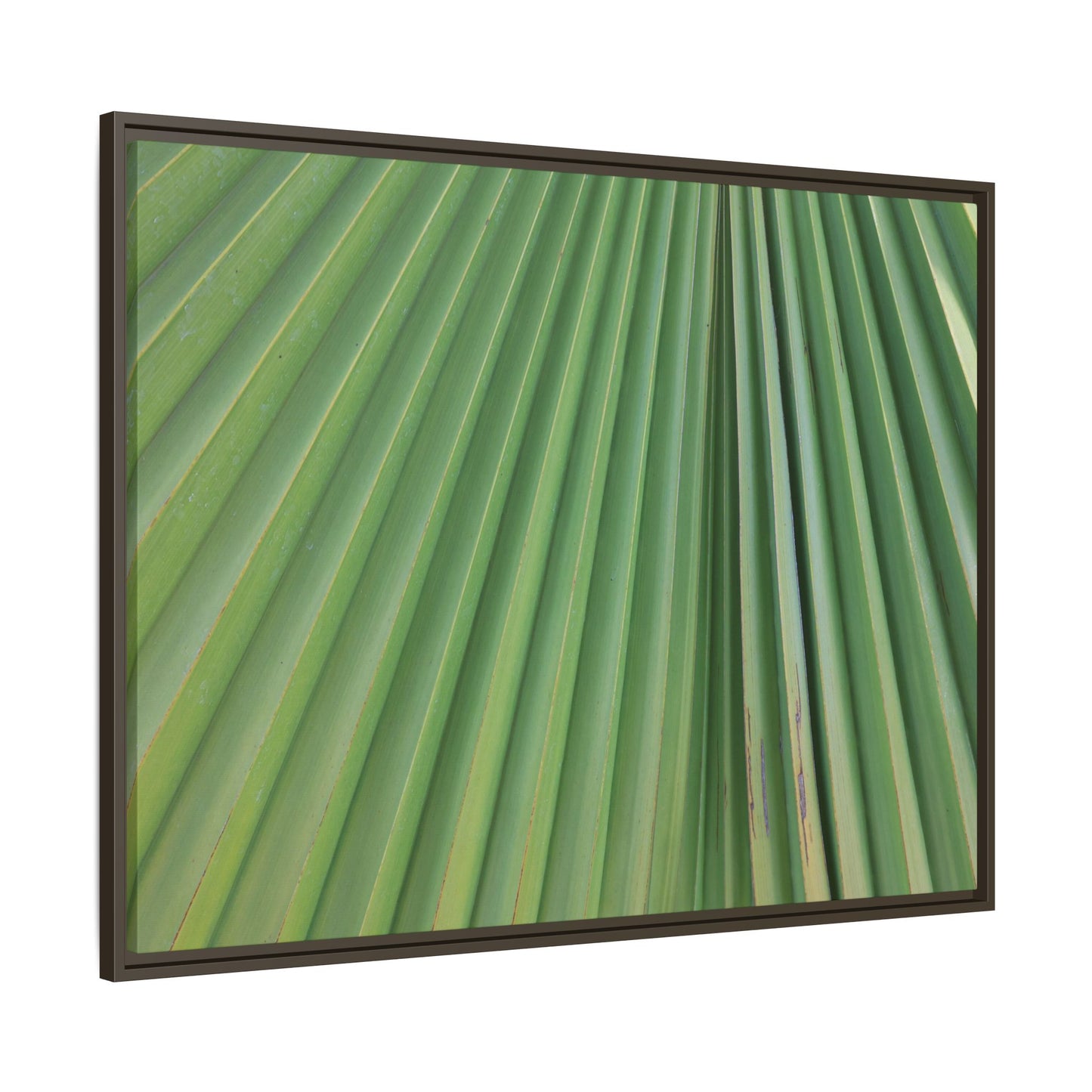 Emerald Rays - Unique Stretched Canvas Wall Art - Art By Earth