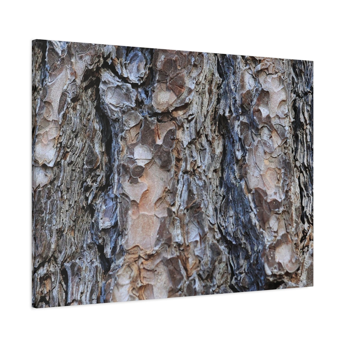 Arboreal Patterns - Unique Frameless Canvas Wall Art - Art By Earth