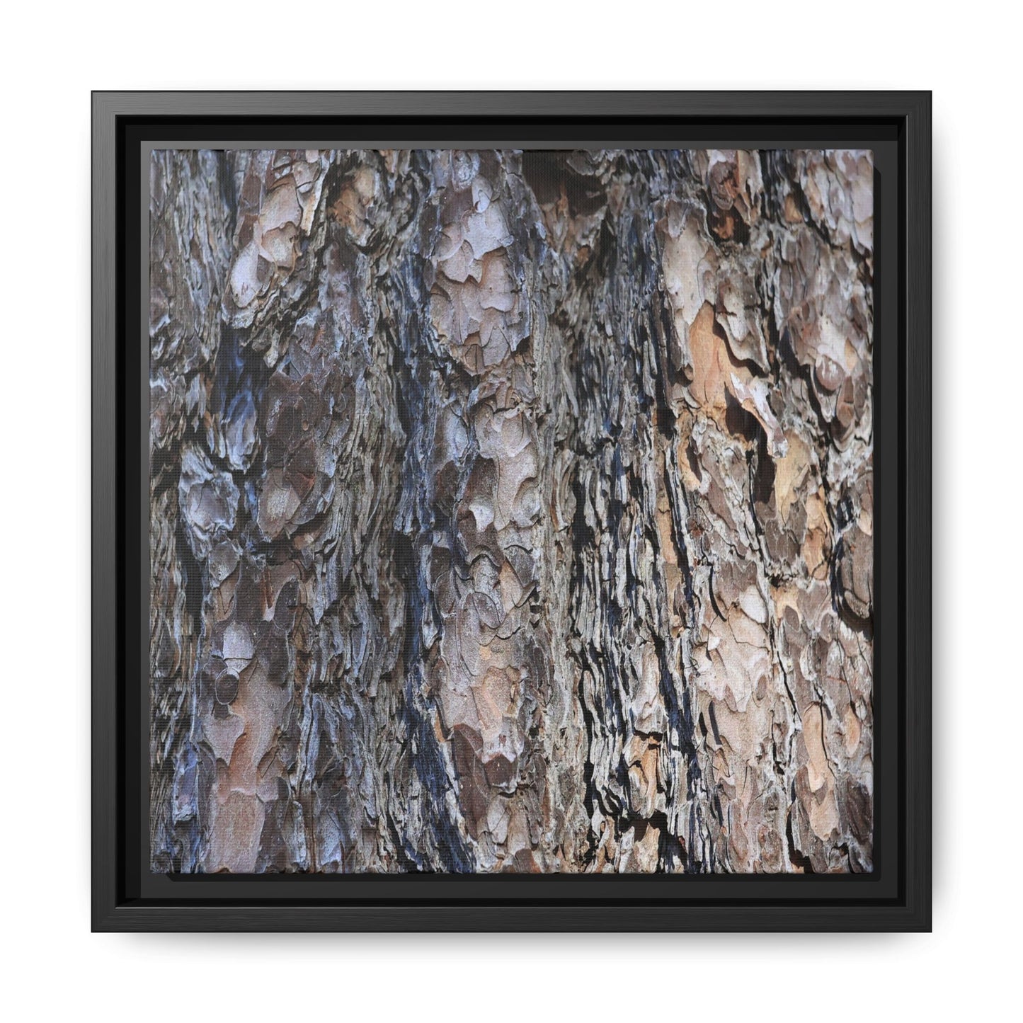 Weathered Patterns - Unique Stretched Canvas Wall Art - Art By Earth