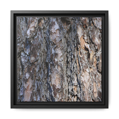 Weathered Patterns - Unique Stretched Canvas Wall Art - Art By Earth