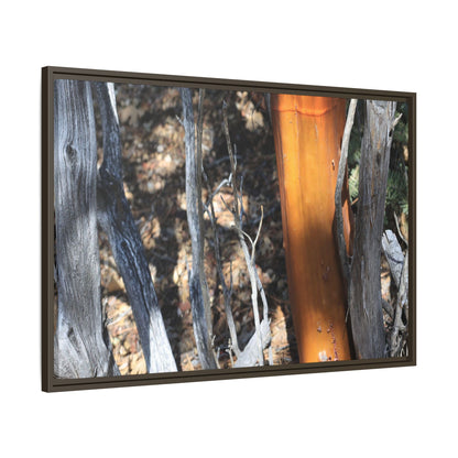 Burnt Trees and Golden Trunk - Unique Stretched Canvas Wall Art