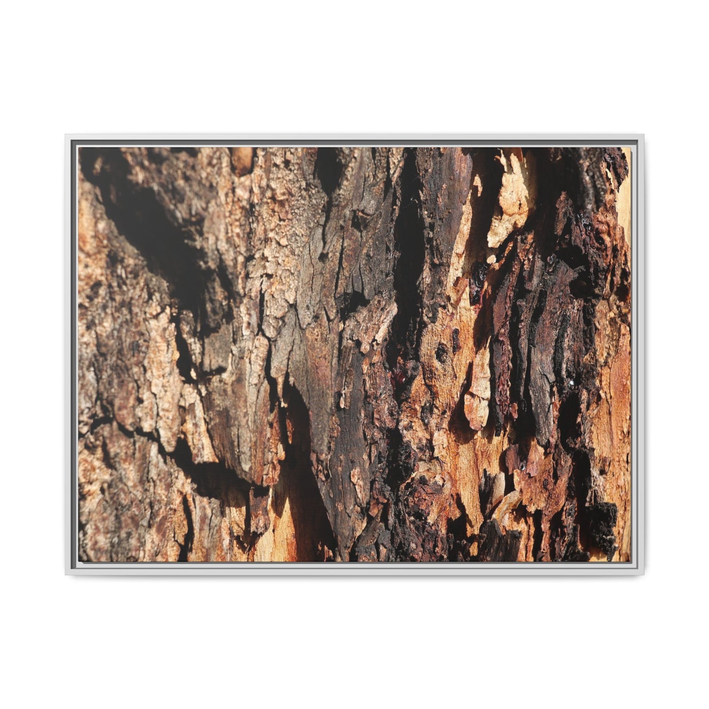Rugged Beauty - Unique Stretched Canvas Wall Art - Art By Earth