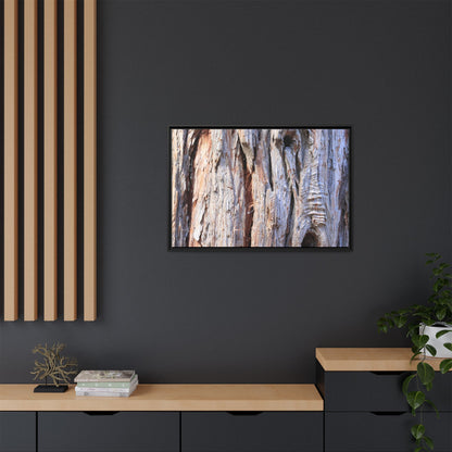 Nature's Grain - Unique Stretched Canvas Wall Art - Art By Earth