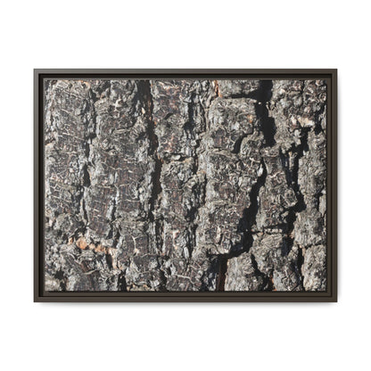 Bark Study in Gray - Unique Stretched Canvas Wall Art - Art By Earth