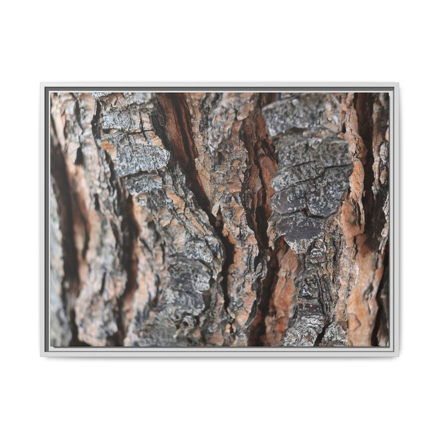 Fractured Nature - Unique Stretched Canvas Wall Art - Art By Earth