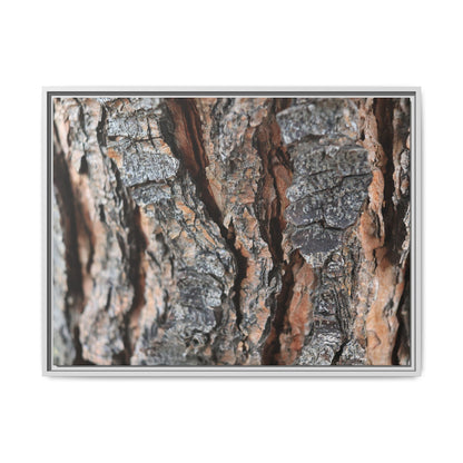 Fractured Nature - Unique Stretched Canvas Wall Art - Art By Earth