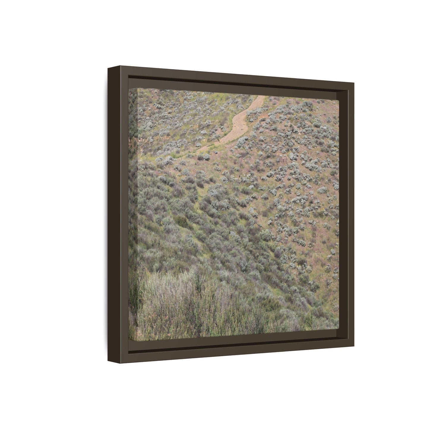 Arid Landscape with Winding Path - Unique Stretched Canvas Wall Art - Art By Earth