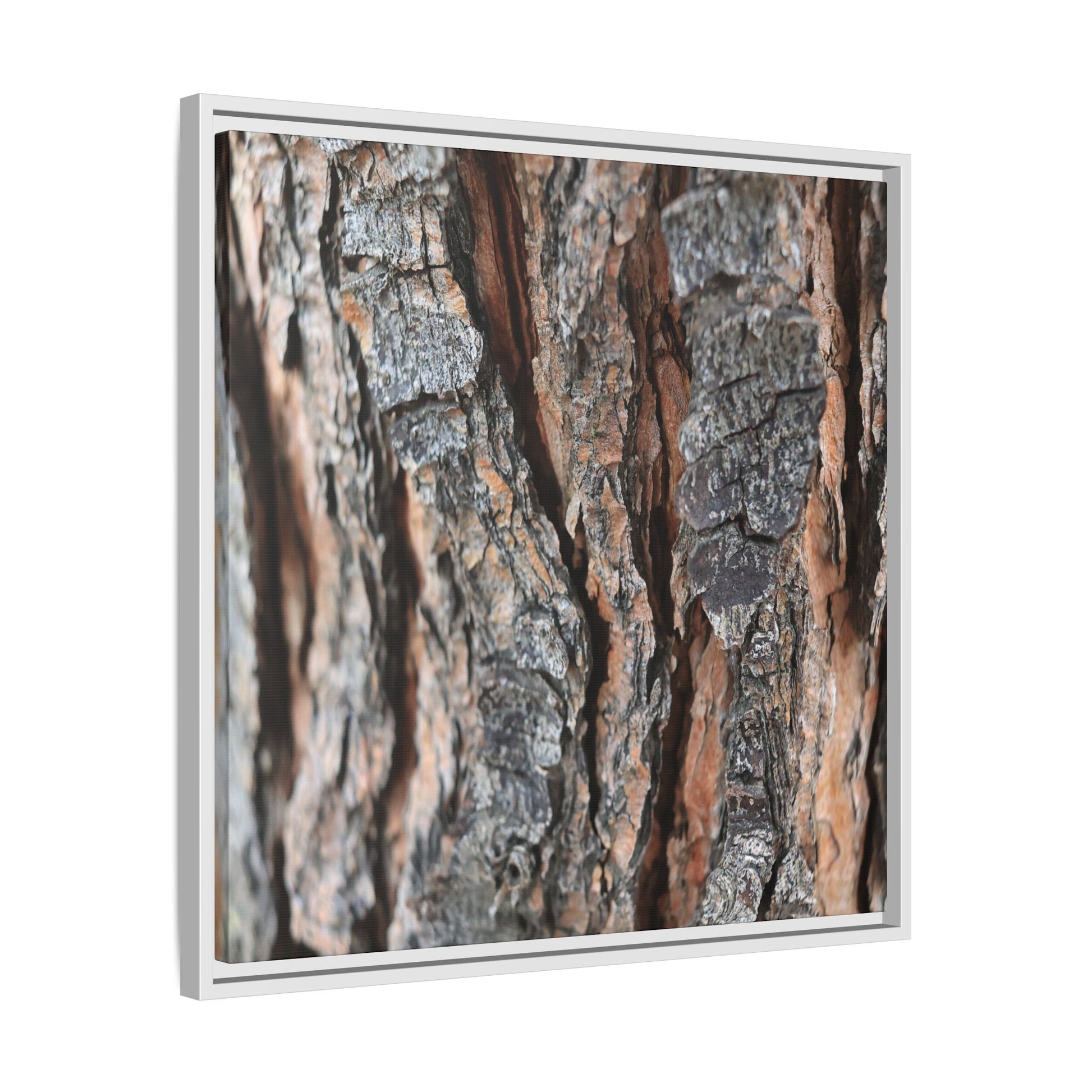 Fractured Nature - Unique Stretched Canvas Wall Art - Art By Earth