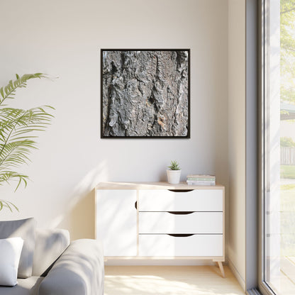 Crusty Exterior - Unique Stretched Canvas Wall Art - Art By Earth