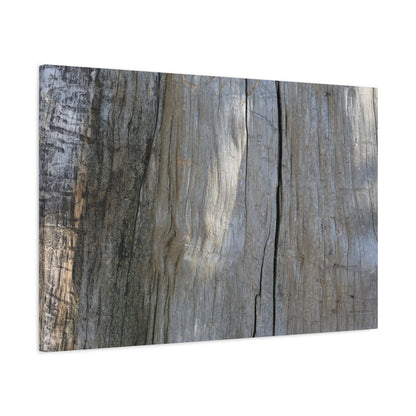 Time's Carved Patterns - Unique Frameless Canvas Wall Art