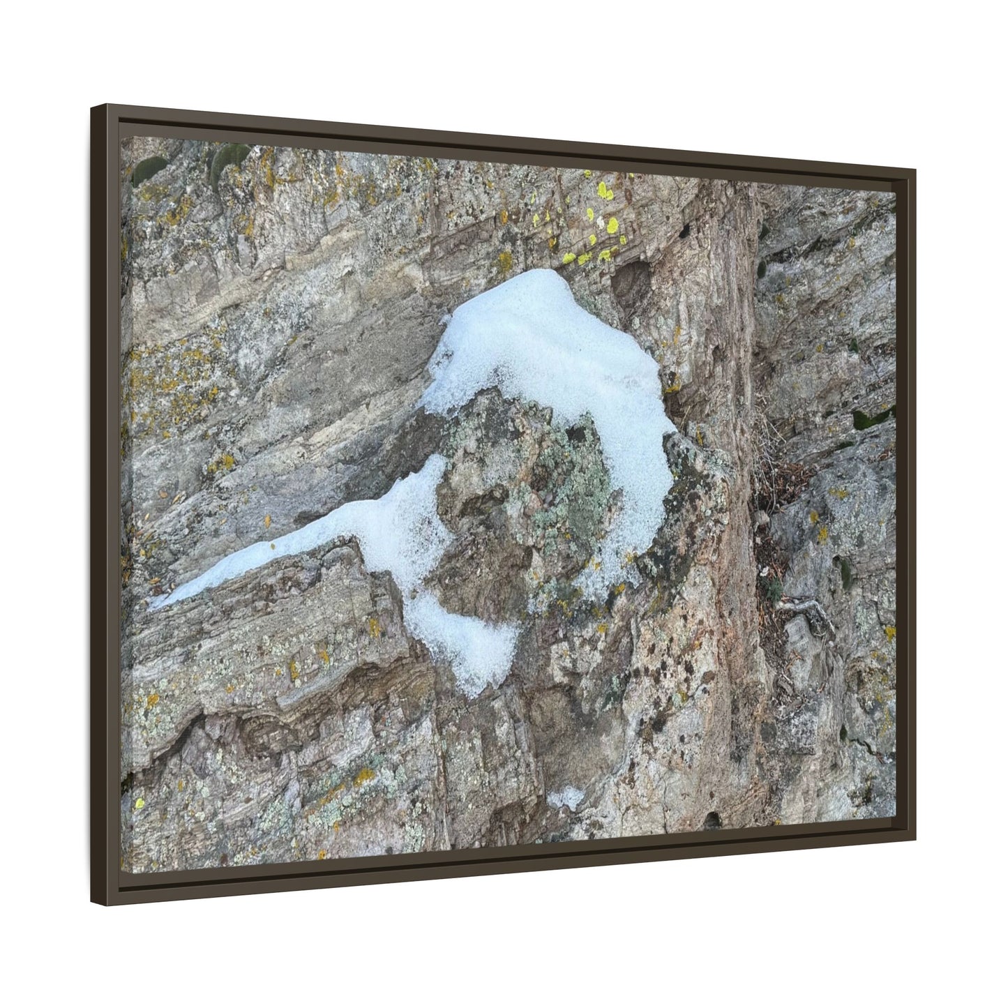 Lichen's Embrace - Unique Stretched Canvas Wall Art