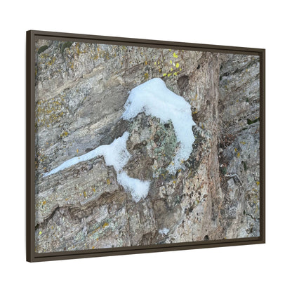 Lichen's Embrace - Unique Stretched Canvas Wall Art