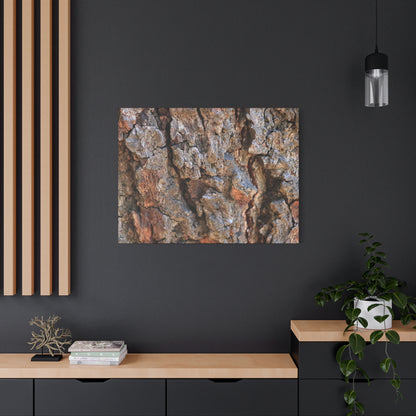 Nature's Skin - Unique Frameless Canvas Wall Art - Art By Earth