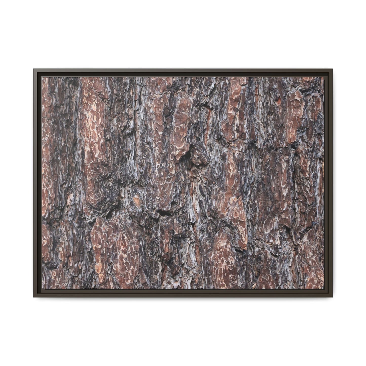 Echoes of Wood - Unique Stretched Canvas Wall Art