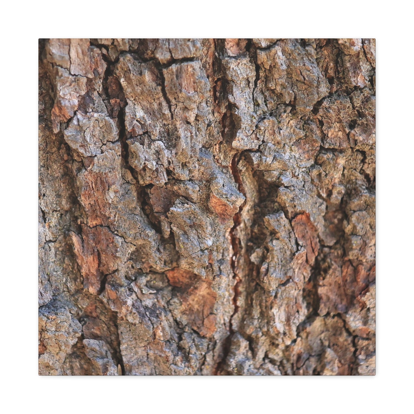 Roots of Time - Unique Frameless Canvas Wall Art - Art By Earth