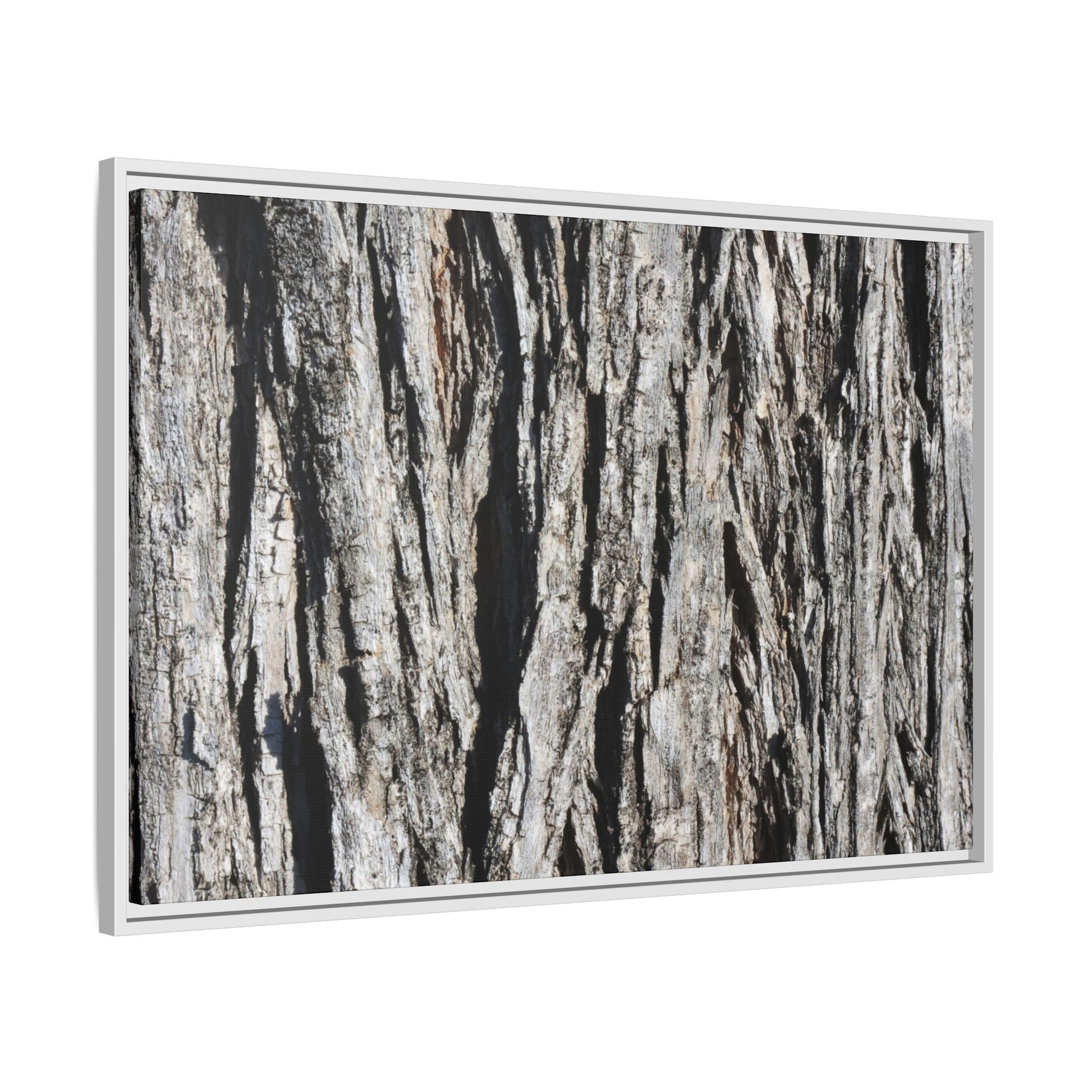 Bark Lines - Unique Stretched Canvas Wall Art - Art By Earth